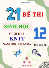 Tuyển tập 21 Đề thi cuối kì 1 năm học 2025-2026 môn Sinh học 12 KNTT (Kèm đáp án)